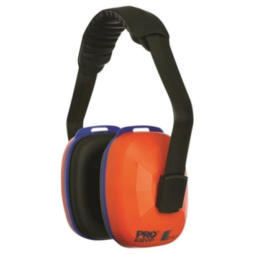 Ear muffs noise cancelling